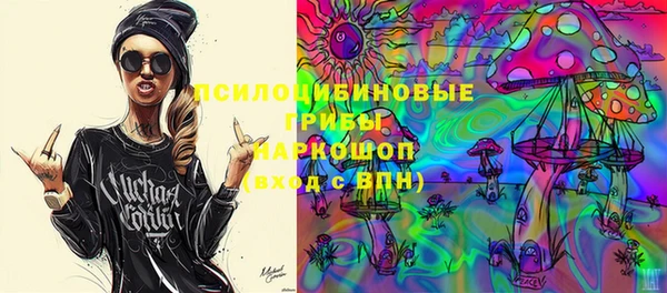 дживик Бронницы