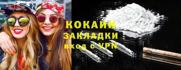 дживик Бронницы