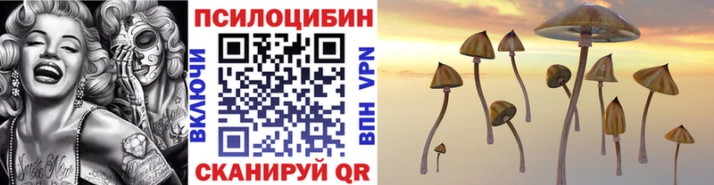 Псилоцибиновые грибы Magic Shrooms  наркота  даркнет наркотические препараты  Весьегонск 